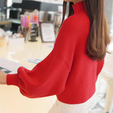 Sweaters Fashion Turtleneck Batwing