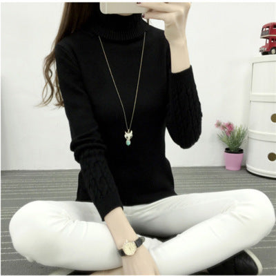 Women Turtleneck Winter Sweater Women