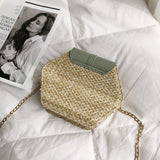 Hexagon Mulit Style Straw+pu Bag